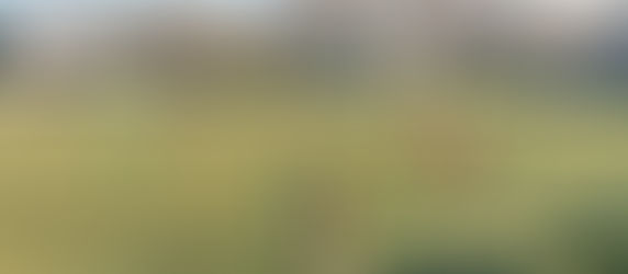 ALTRO PAREGGIO PER LA PRIMA SQUADRA. MANCA UN PO' DI FORTUNA, ANCHE ARBITRALE, MA I RAGAZZI STAN