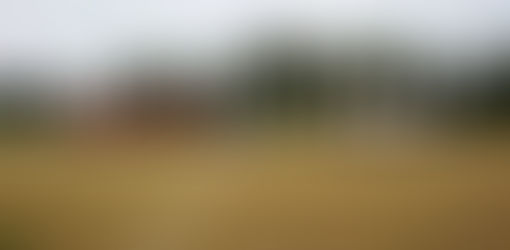 TRE VITTORIE E UN PAREGGIO: OTTIMO WEEK-END PER LE NOSTRE SQUADRE