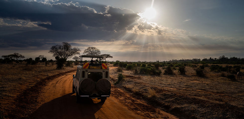 Kenya Wildlife Safari & Photography Workshop
