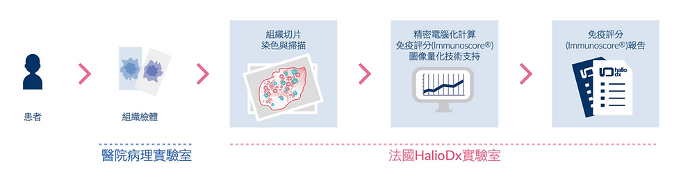 螢幕快照 2020-02-10 下午7.22.43.png