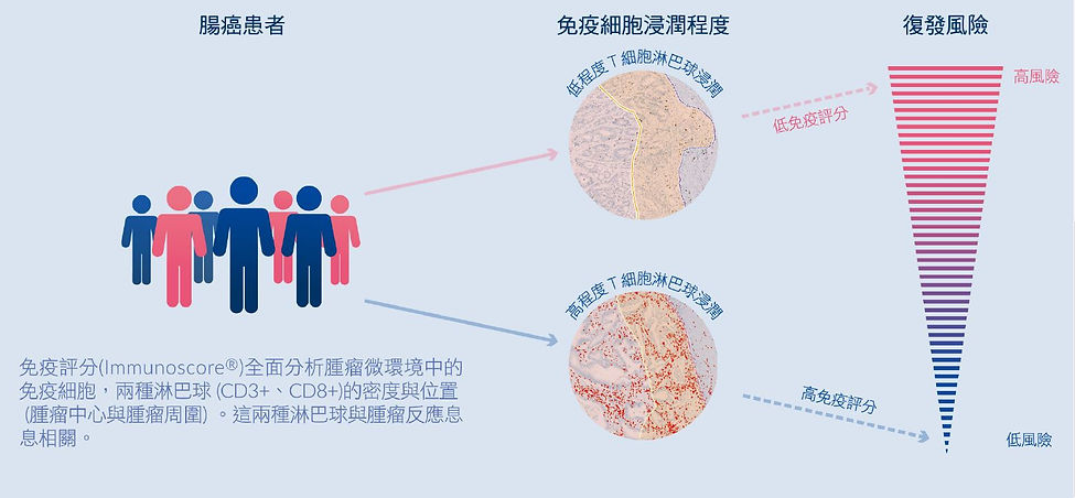 Immunoscore 圖片.JPG
