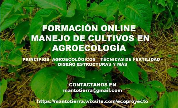 CARTEL VERANO 2020.jpg