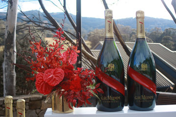 thredbo alpine hotel long lunch
Snowy Mountains wedding & event florist. Jindabyne florist. Thredbo florist. Lake Crackenback Resort weddings.