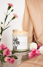 plumeriawhite Large.png