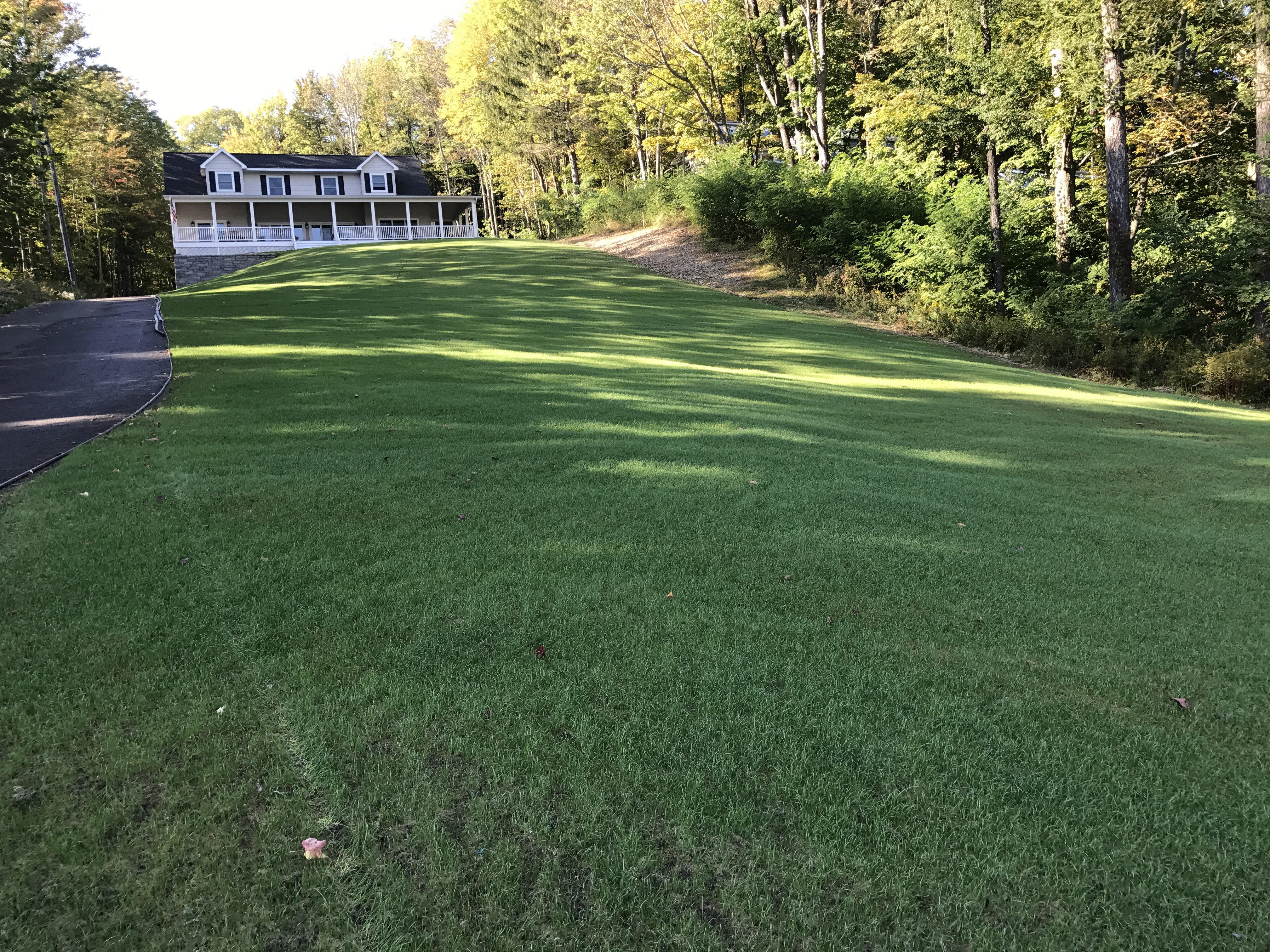Modern Scapes and Hydroseeding