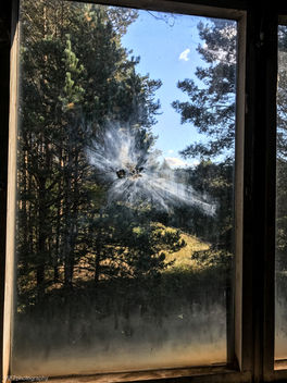 Objekt 17 5001-7.jpg