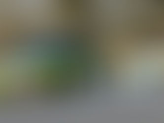 For young motorsport fans, MSV Young Drive! is the closest thing to stepping straight into the world of professional racing! Lessons take place at some of the UK’s most iconic circuits - meaning beginners learn their first clutch‑control and steering skills on the very same tarmac used by British Touring Cars and top‑tier racing series!