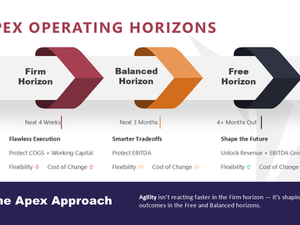 3 Decision Horizon Framework