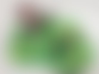 Краски Осени 2025