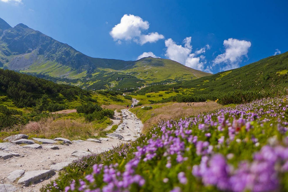 TATRY WIOSNĄ