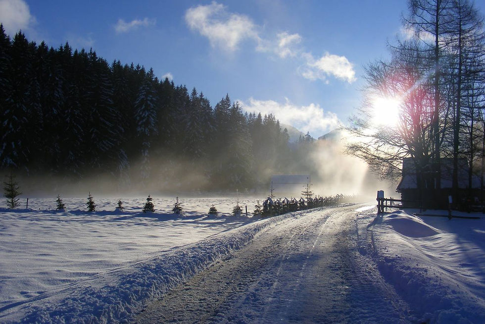 winter pico