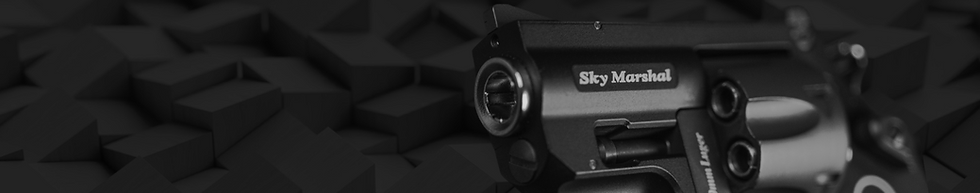 Banner - Revolver.png