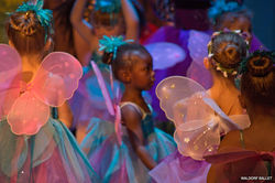 WaterBirdSong300_125