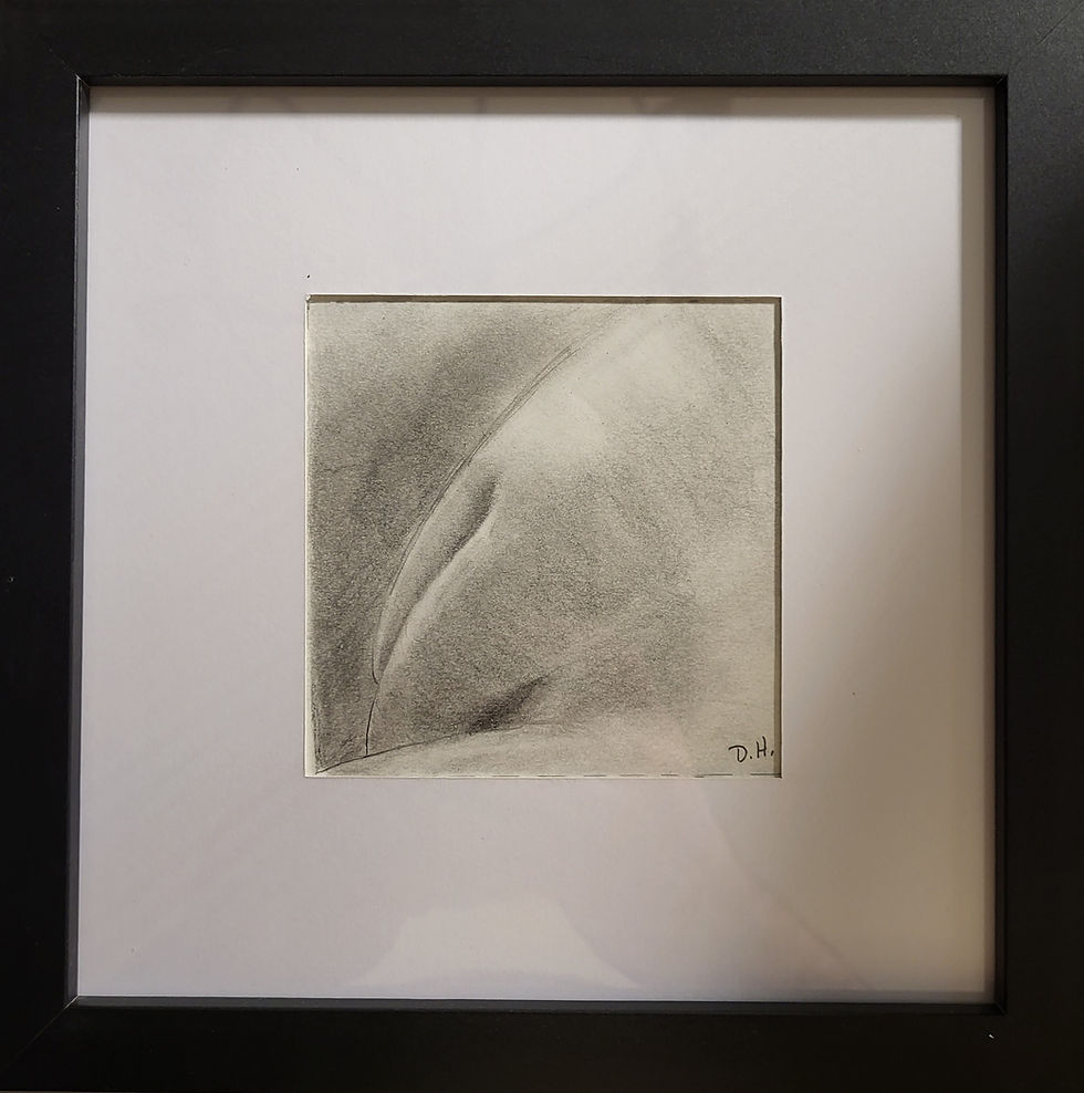Thumbnail: "Form study 6 - Labia Majora", original pencil drawing