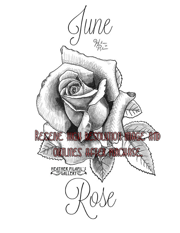 Sample image of June Rose drawing.