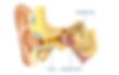 Ear wax picture_edited