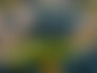 Your Ideal Living Environment: A Professional Guide to Choosing the Perfect Home