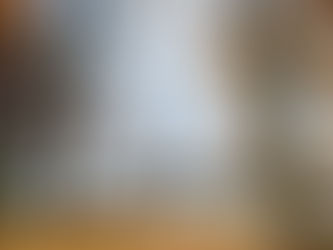 Understanding the Legal Responsibilities and Fiduciary Duties of Real Estate Professionals