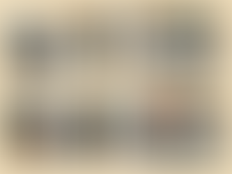 Four images of self-made collages themed around nature. 