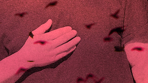 zona_disforme2024-04-23-18h00m35s096.png