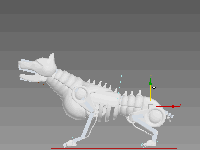 Pelvis