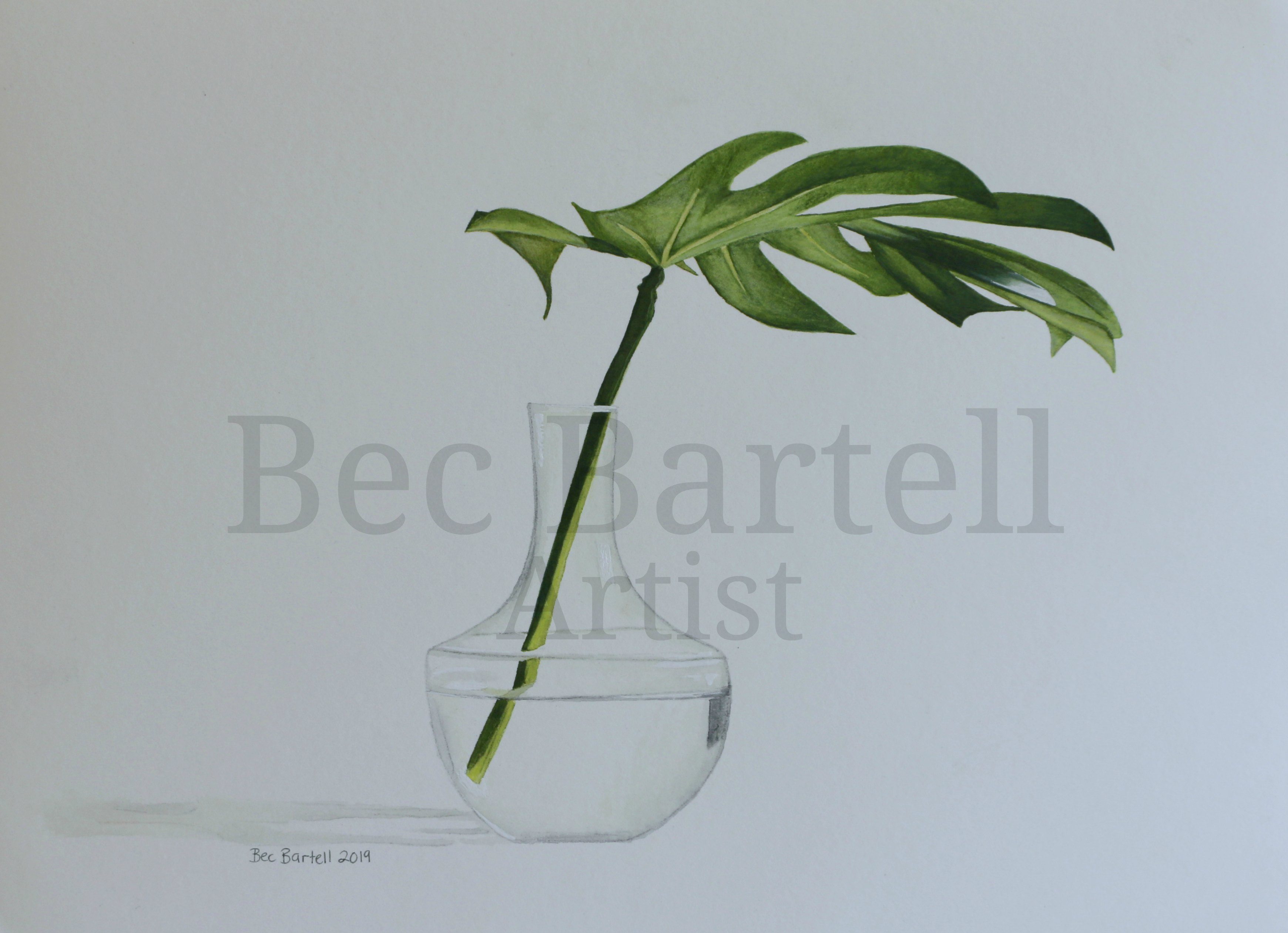 Tropical Leaves 1