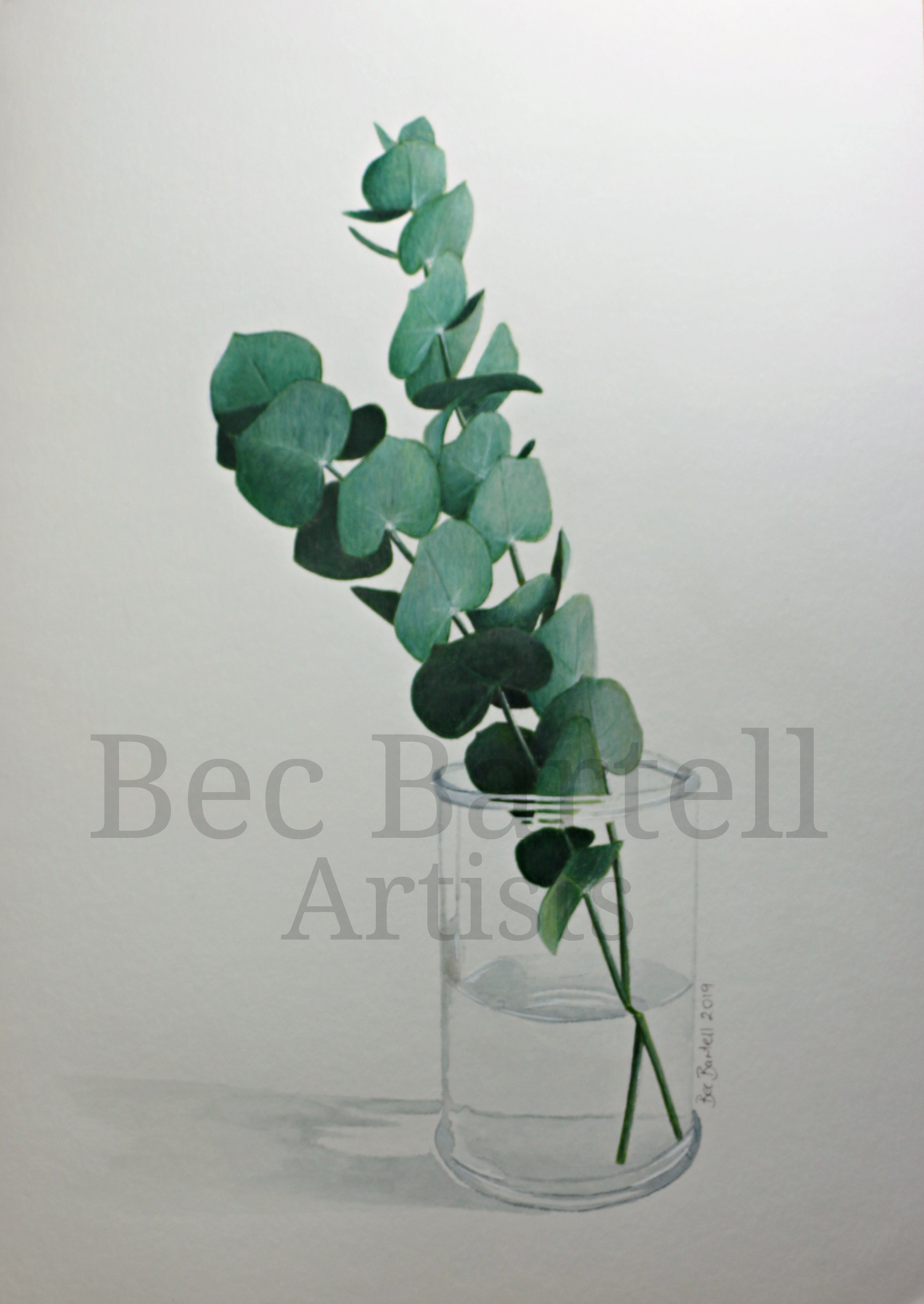 Eucalyptus Vase No1