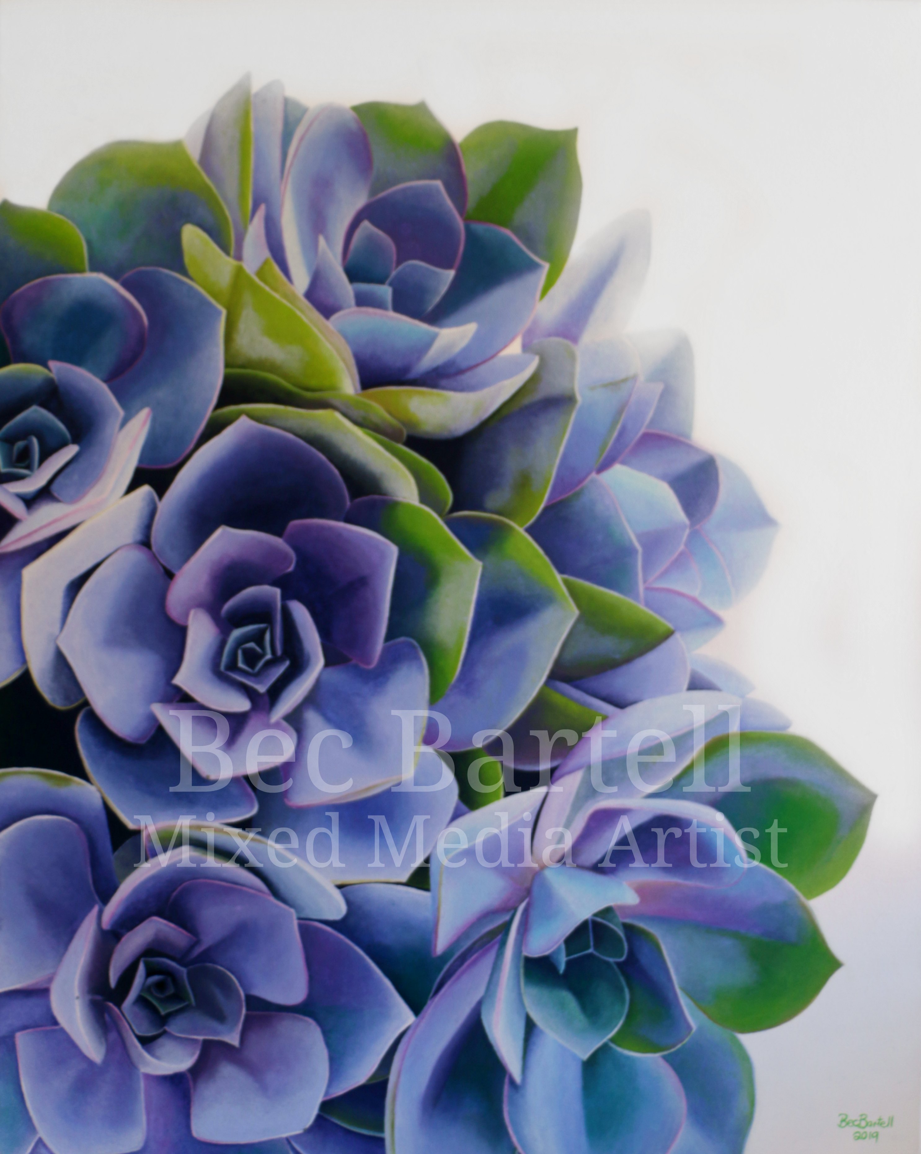 Succulent Beauty