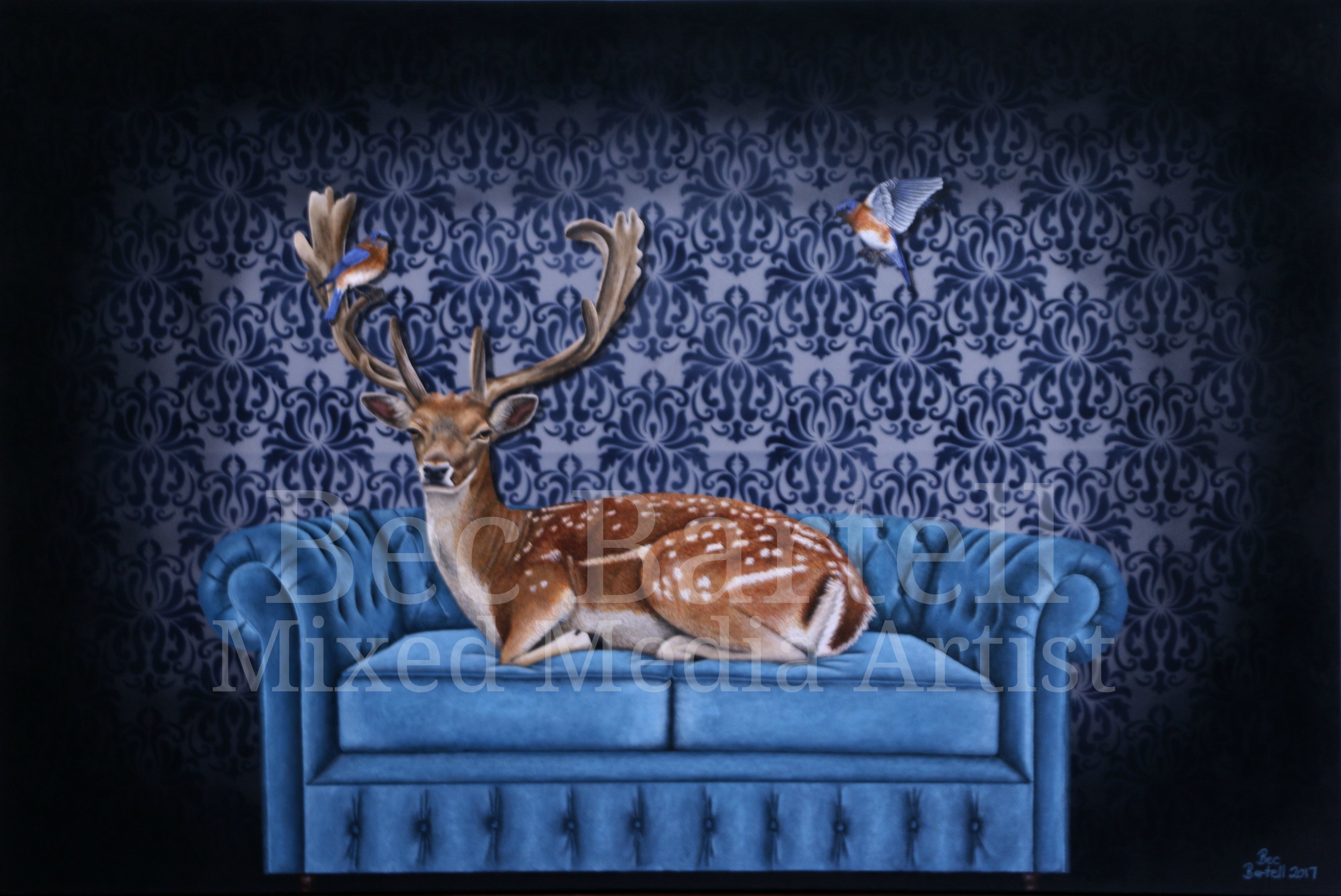 Creature Comforts