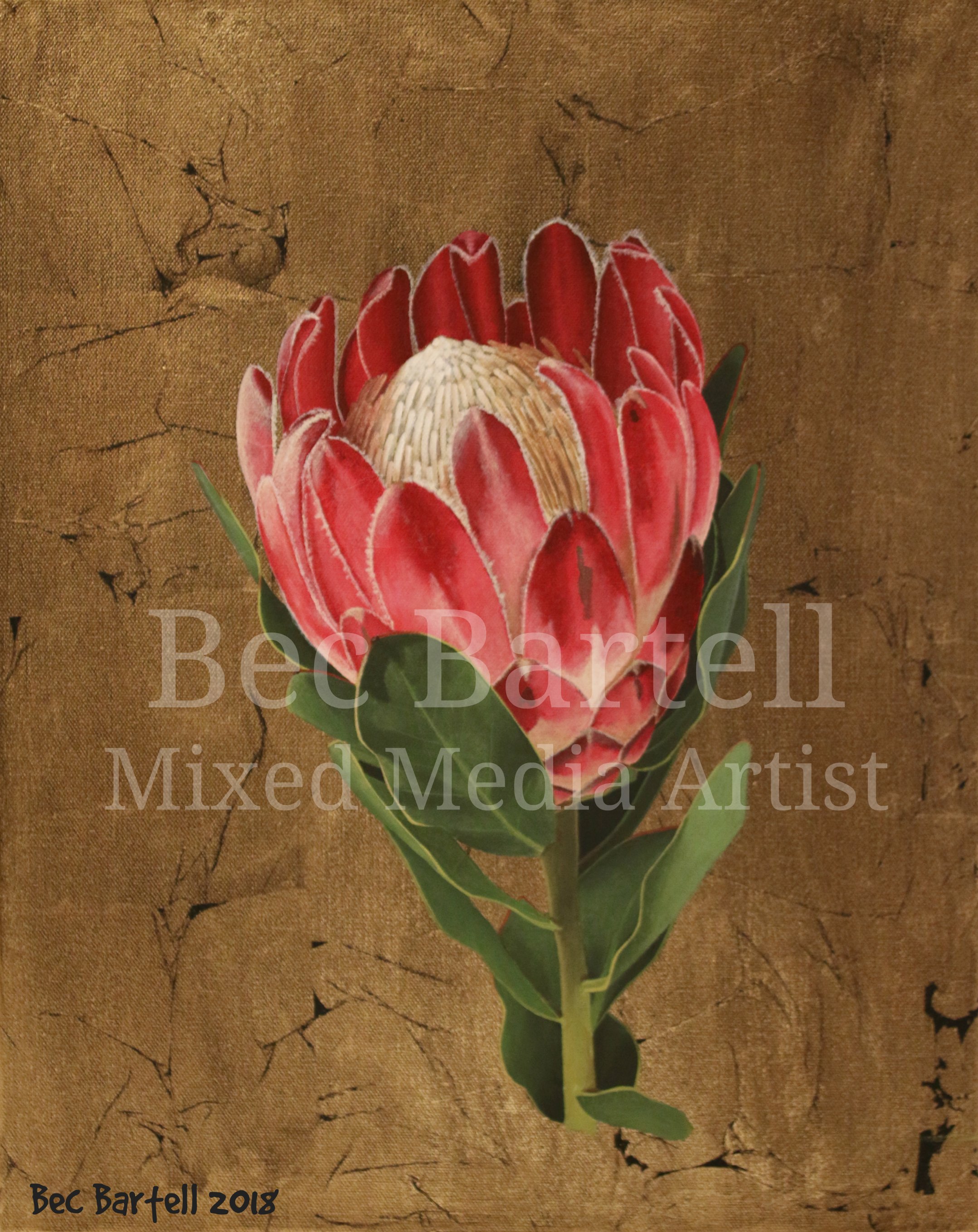 Wild Bloom