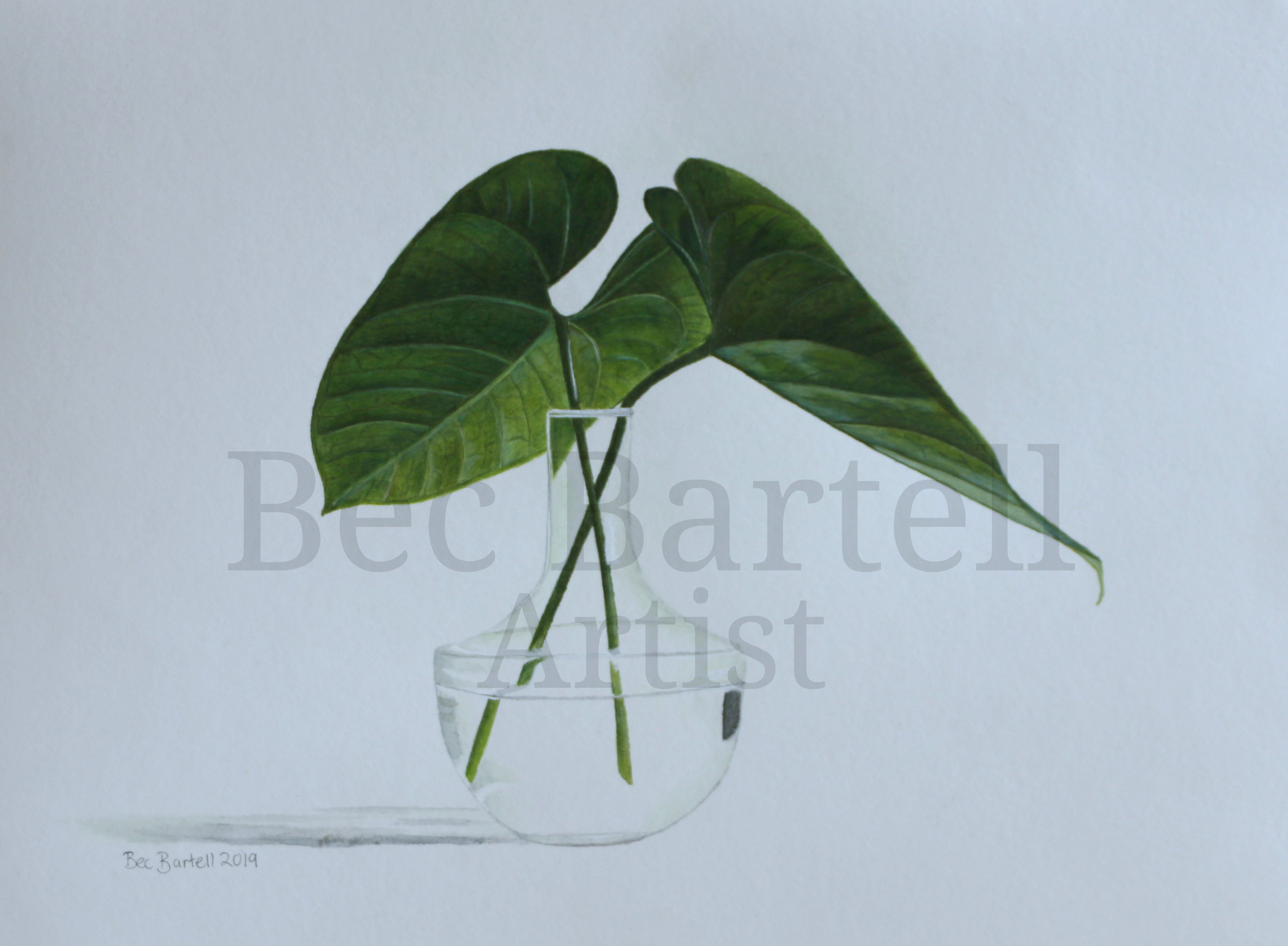 Tropical Leaves 2