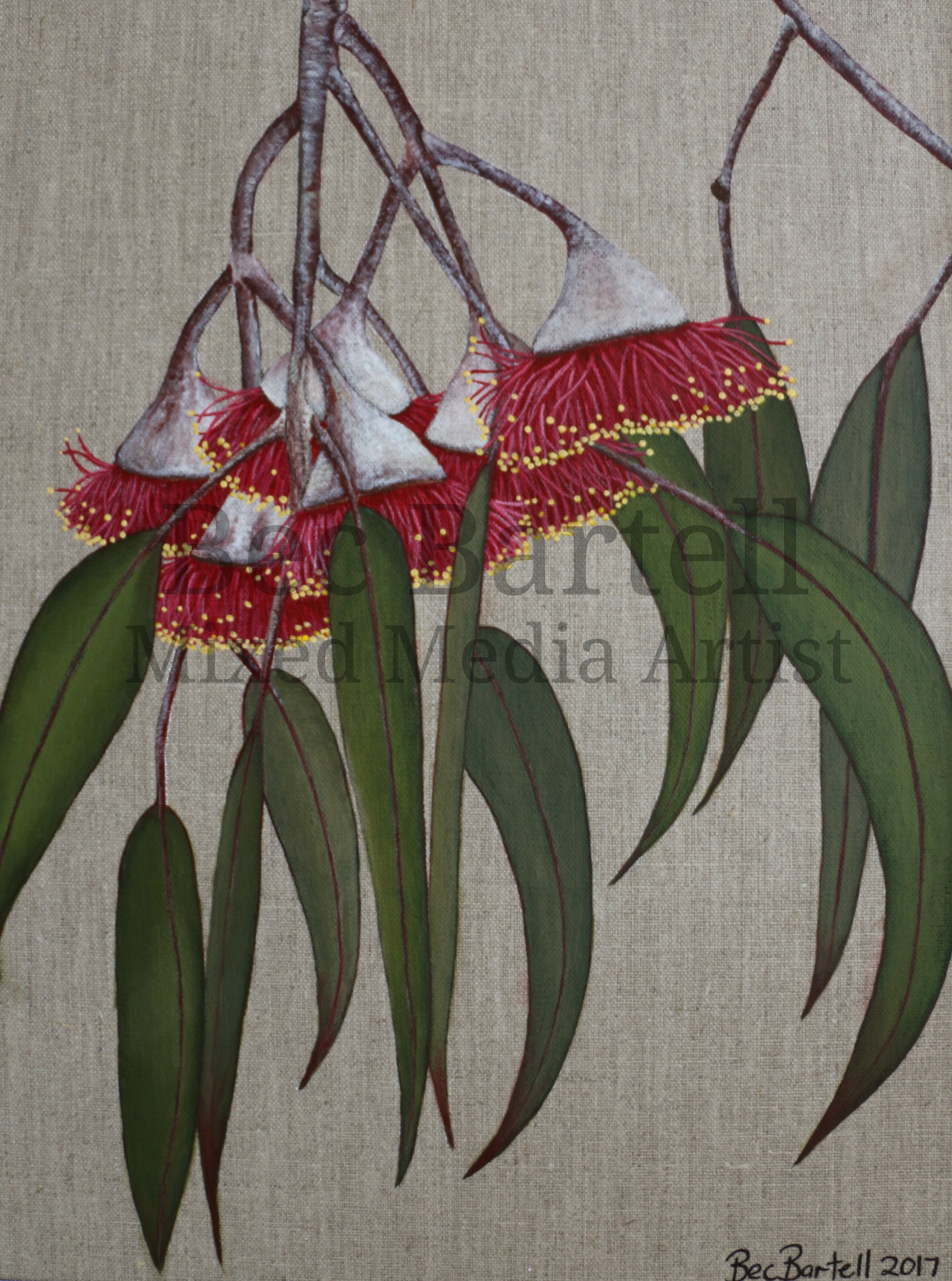 Gum Blossoms