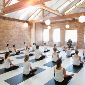 Harnessing the Power of the Collective Consciousness