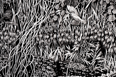 illustration, detailed illustration, botanical illustration, concept art, figurative abstract, hand drawn illustration, traditional illustration