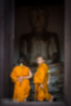 Young monks