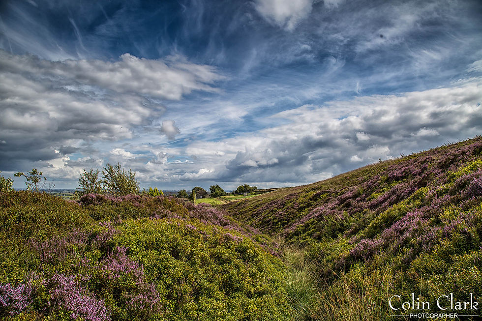Yorkshire moors