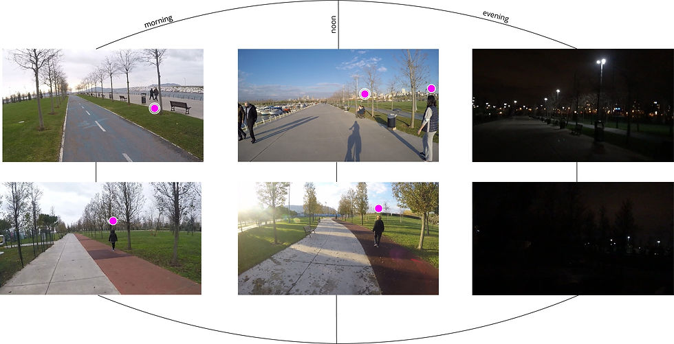 Comparison of Daytime Use