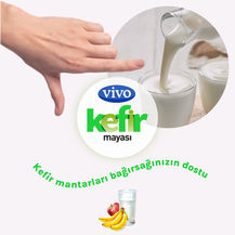 Vivo-Tasarımlar-12.jpg