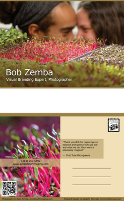 Simple Truth Imaging Postcard - Microgreens