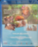 Thumbnail: Madea's Destination Wedding (2025) Blu-ray