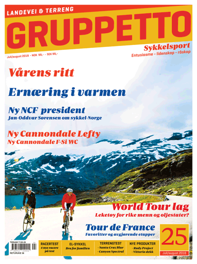 Gruppetto-#25-forside.gif