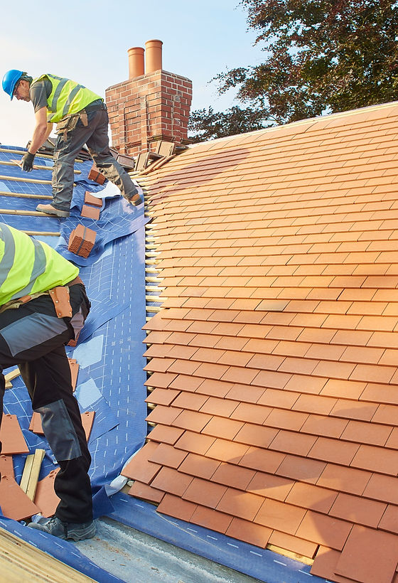 Switching Roofs_edited.jpg