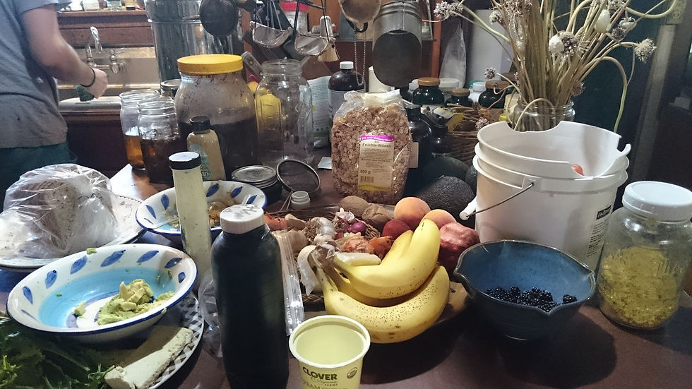 A selection of Foods