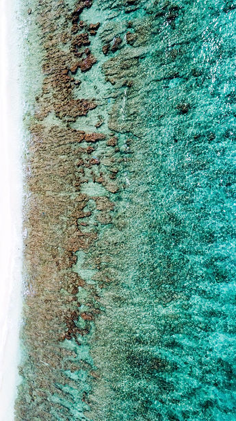 ocean.jpg