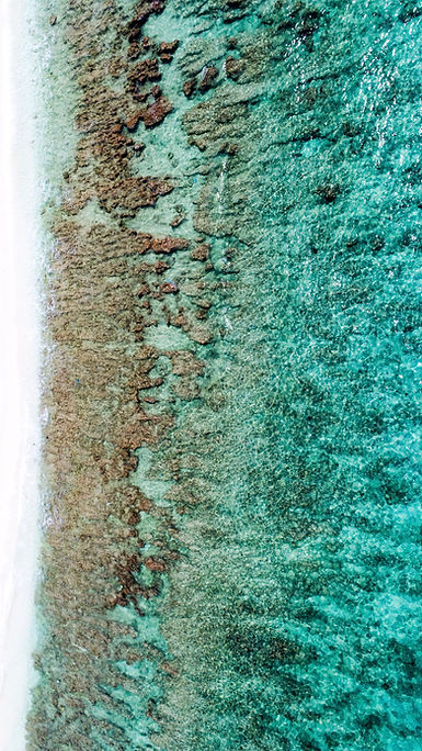 ocean.jpg