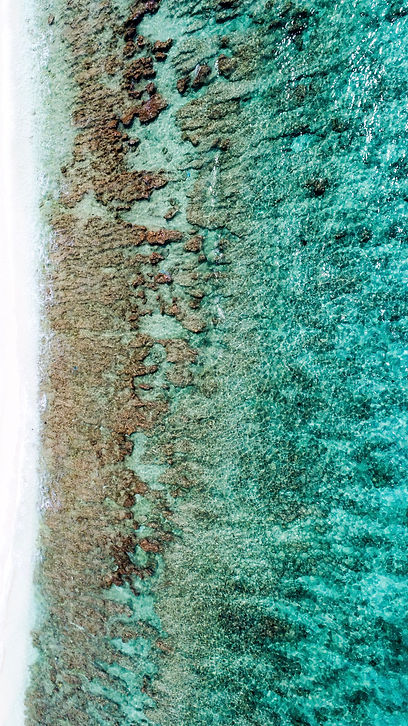 ocean.jpg