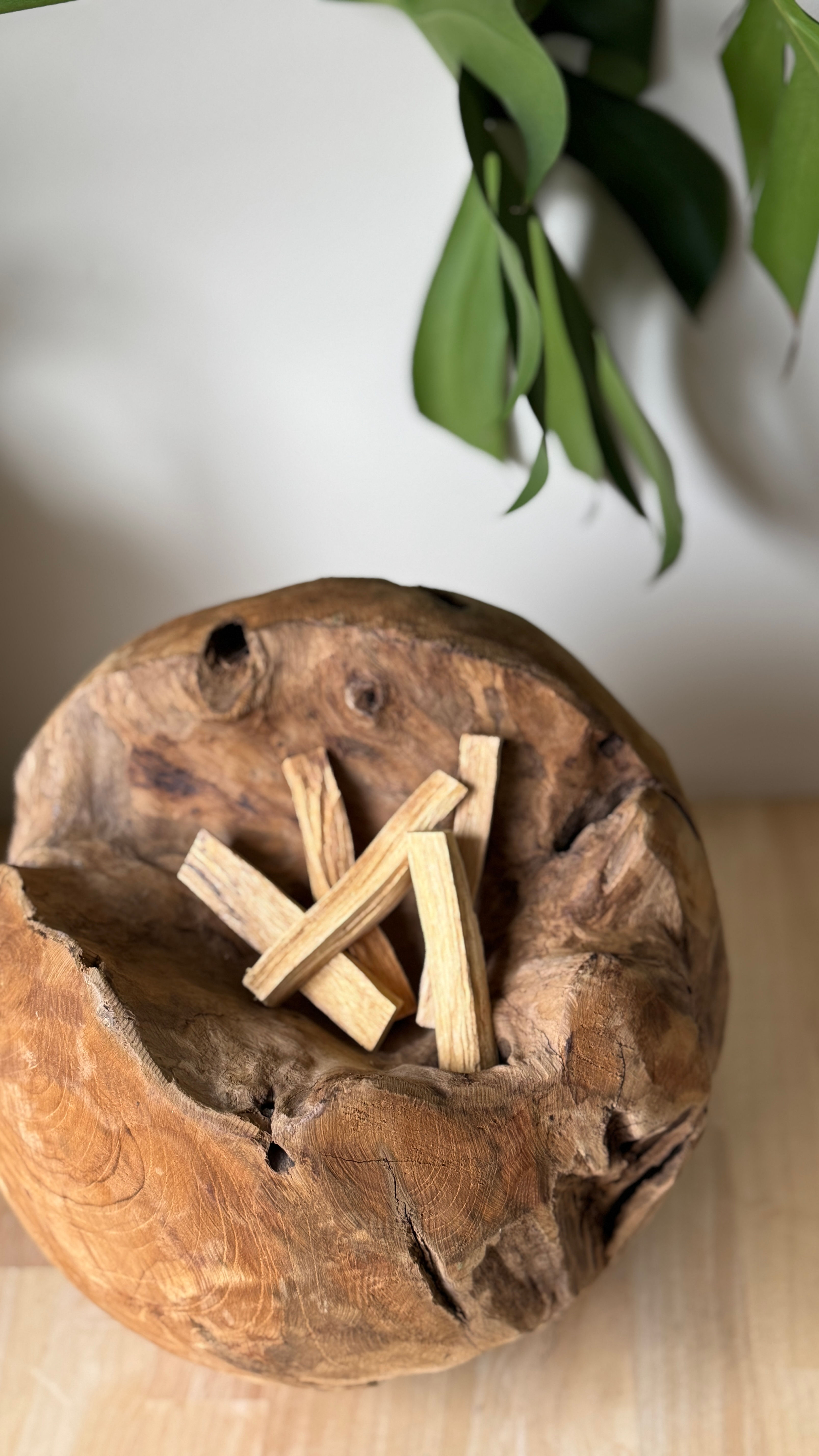 Palo santo - heilig hout sticks 40g