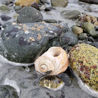 Leadership: What is it?