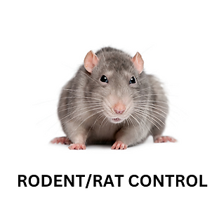 Add a heading (21).png