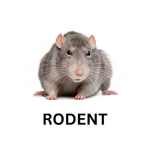 Add a heading (3).png